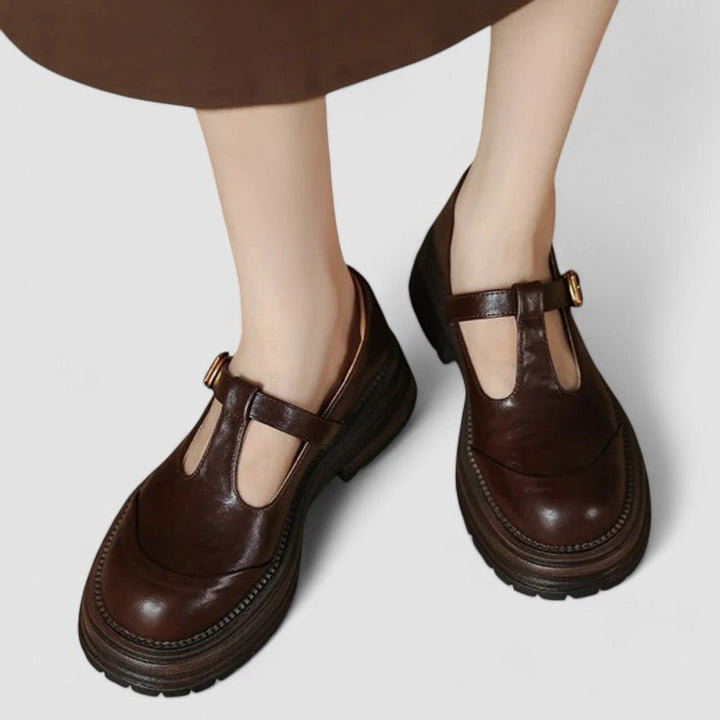 Damernes Retro Chunky Platform T-bar Mary Jane Sko - Brown